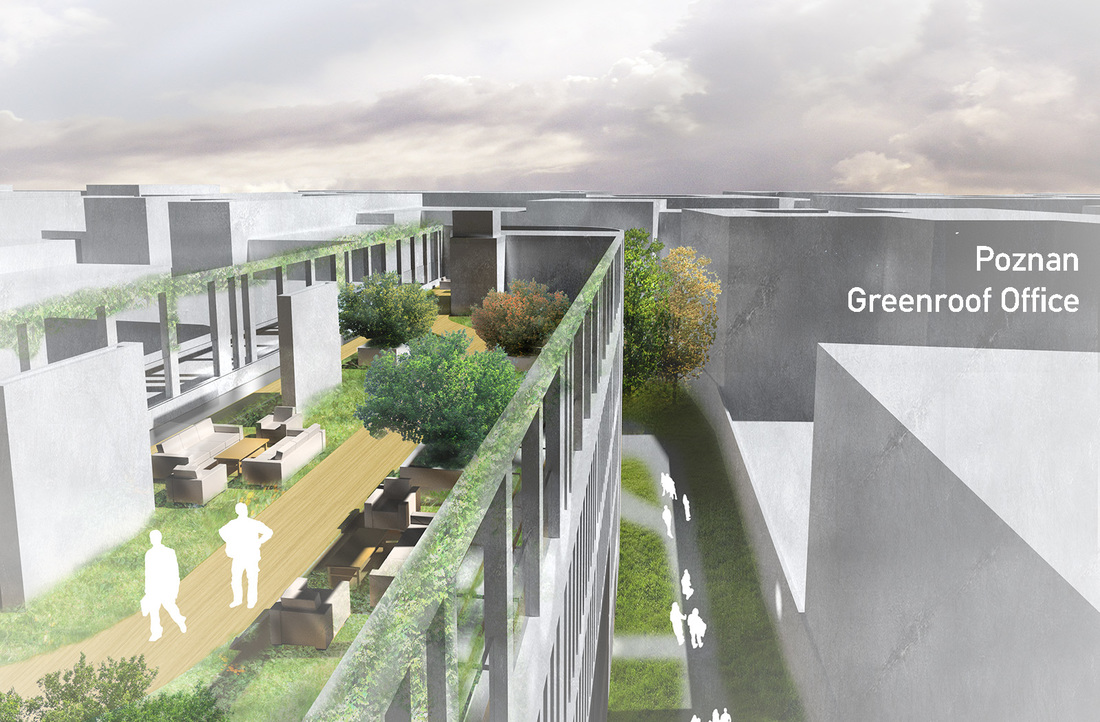 Poznan Green Roof Office